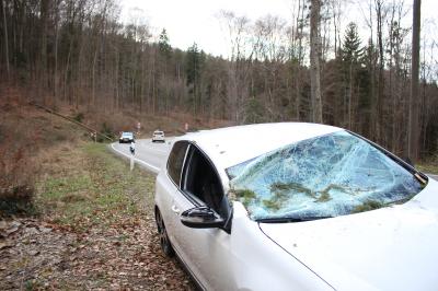 Allmersbach im Tal: Baum kracht auf Auto 